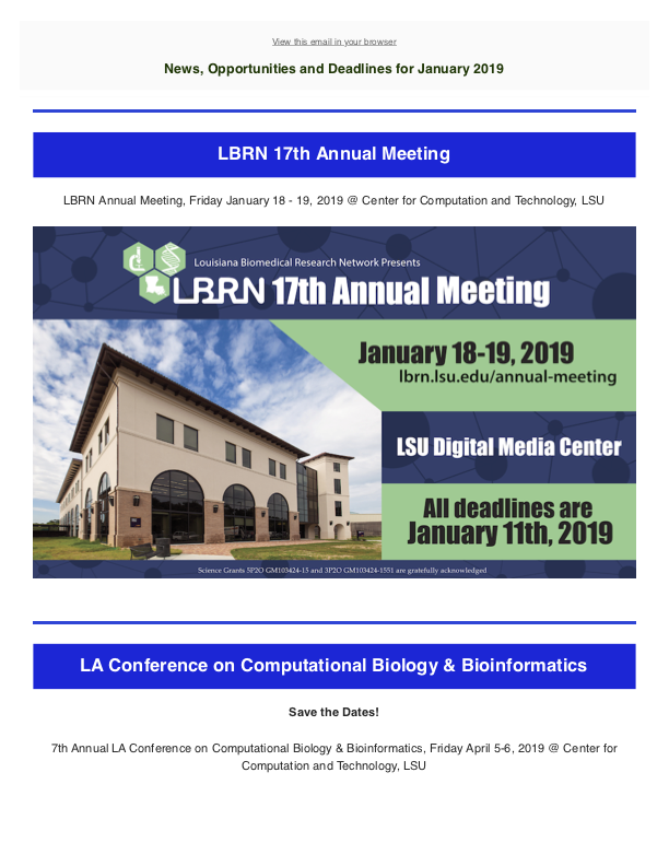 lbrn newsletter January 2019